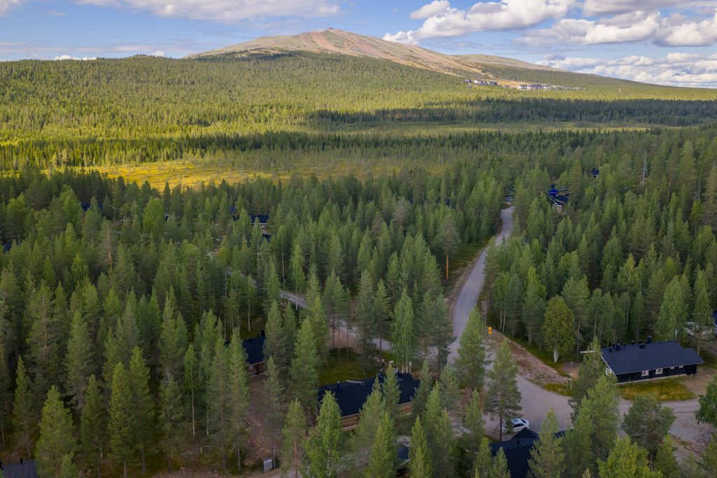 Metsäinen maisema, tunturi taustalla