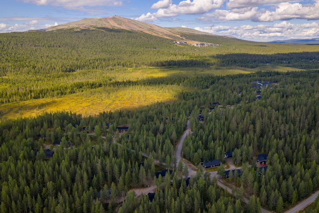 Metsäinen maisema, tunturi taustalla