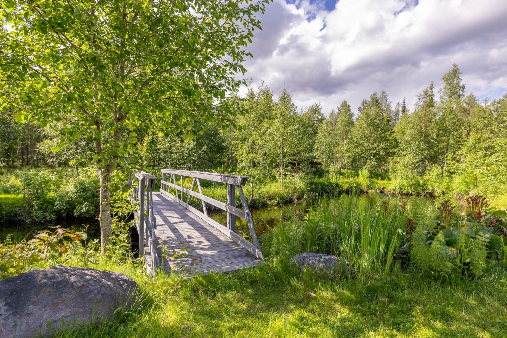 Silta vehreässä metsämaisemassa.