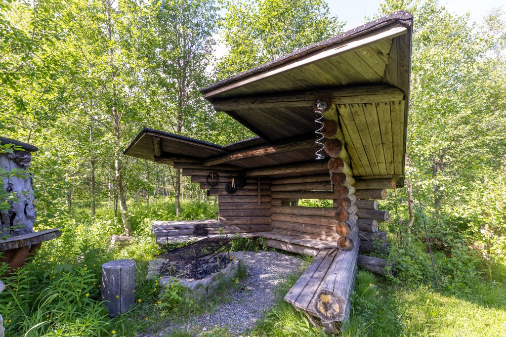 Puinen laavu metsässä, kesäpäivä