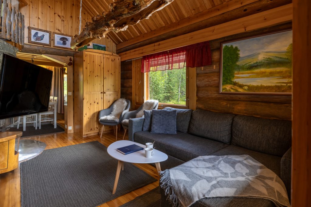Puisen mökin olohuone. Harmaat sohva ja nojatuolit ovat olohuoneessa oikealla puolella. Vasemmalla sijaitsee musta tv seinällä. Huoneen perällä on valkoinen keittiönpöytä ja tuolit sekä ikkuna, josta näkyy vihreitä puita. Oikealla olohuonetta on ikkuna, josta näkyy vihreää luontoa ulkona. Seinällä on maalattu maisemataulu. Sohvalla on harmaa villaviltti. Sohvan edessä on valkoinen pieni sohvapöytä.